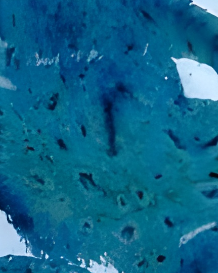 paleta-cores