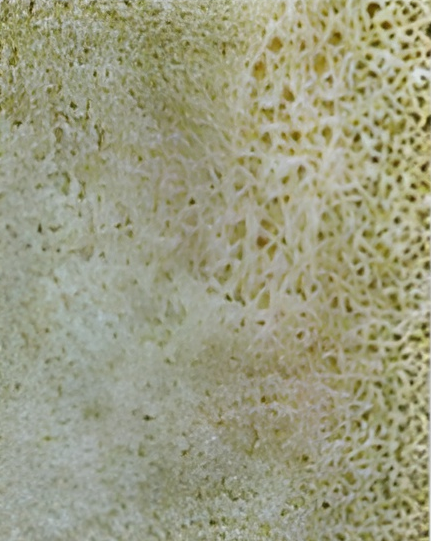 paleta-cores