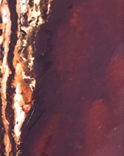 paleta-cores